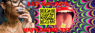 PSILOCYBIN Кунгур