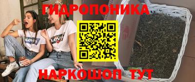 PSILOCYBIN Кунгур