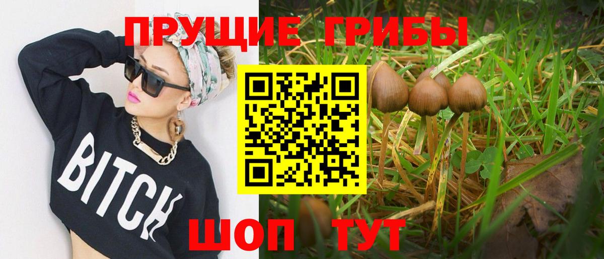 Энгельс  Псилоцибиновые грибы MAGIC MUSHROOMS  Вход с VPN 