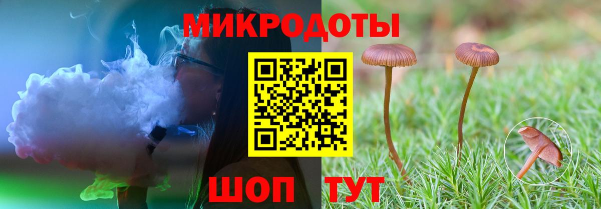 Псилоцибиновые грибы Psilocybe Энгельс